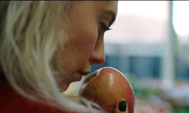 Pezzi di immaginario tra cinema da camera e chic volgare